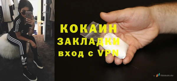 ПСИЛОЦИБИНОВЫЕ ГРИБЫ Осинники