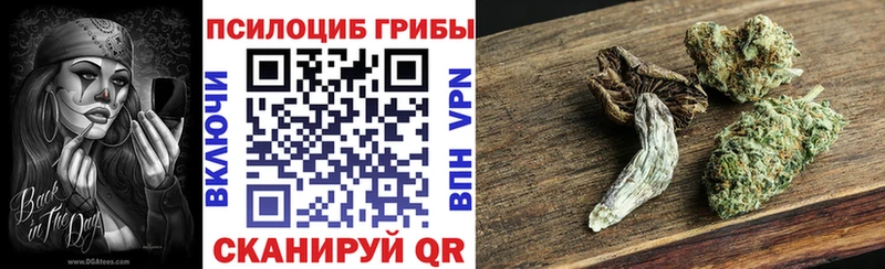 наркота  Печоры  Галлюциногенные грибы MAGIC MUSHROOMS 